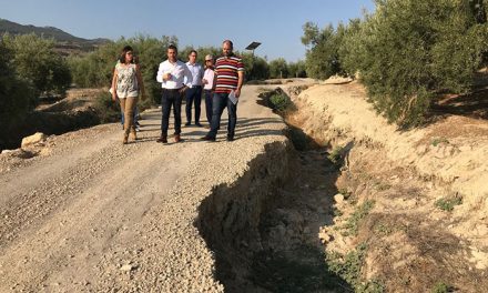 El alcalde visita el camino agrícola de Los Coches para valorar soluciones a corto y medio plazo para los propietarios de fincas