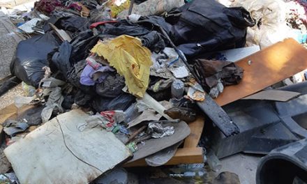 El Ayuntamiento retira 14 toneladas de basura de las laderas de Antonio Díaz