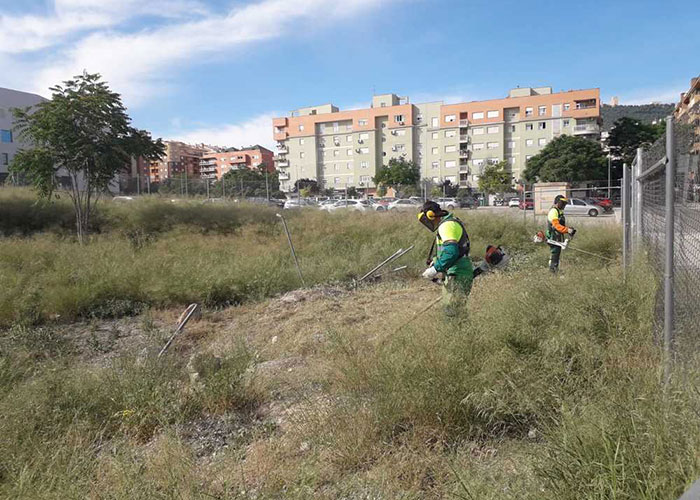 El Ayuntamiento de Jaén desbroza, hasta la fecha, el 80% de las parcelas de su titularidad