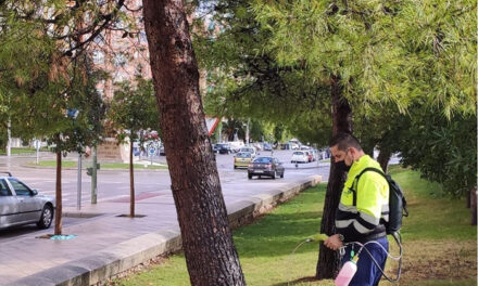 El Ayuntamiento de Jaén intensifica los tratamientos para hacer frente a la aparición de la oruga de hierba en praderas y prosigue con las labores de endoterapia contra la procesionaria del pino