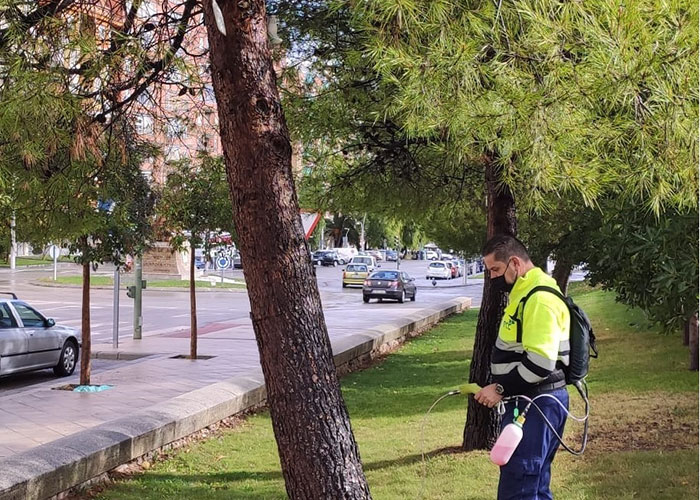 El Ayuntamiento de Jaén intensifica los tratamientos para hacer frente a la aparición de la oruga de hierba en praderas y prosigue con las labores de endoterapia contra la procesionaria del pino