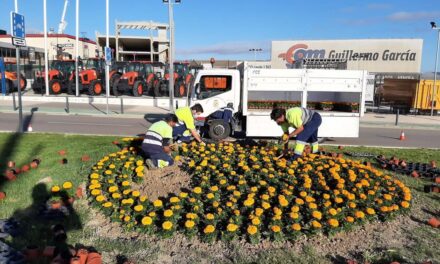 –	El Ayuntamiento de Jaén planta más de 80.000 plantas de flor que proceden del Vivero Municipal de Vaciacostales de temporada para embellecer los jardines y zonas verdes de toda la ciudad