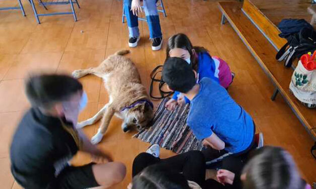 El Ayuntamiento de Jaén desarrolla un proyecto piloto de intervención educativa asistida con perros en el colegio Alfredo Cazabán