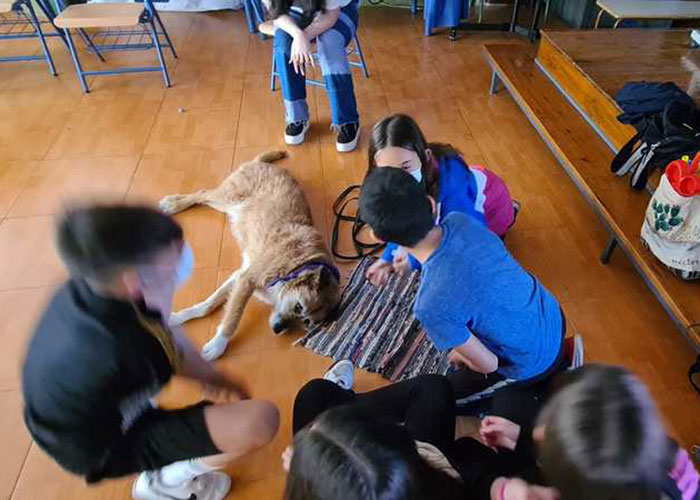 El Ayuntamiento de Jaén desarrolla un proyecto piloto de intervención educativa asistida con perros en el colegio Alfredo Cazabán